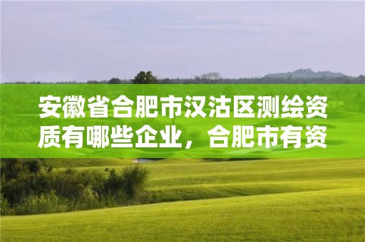 安徽省合肥市漢沽區測繪資質有哪些企業，合肥市有資質的測繪公司