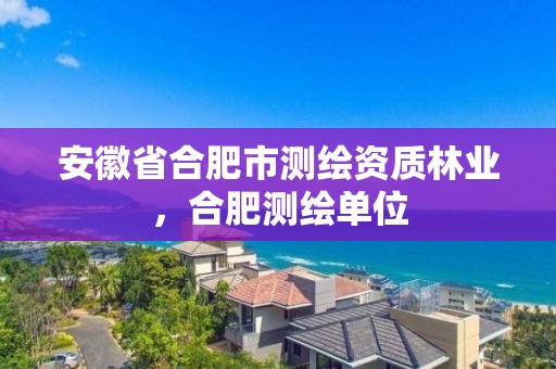 安徽省合肥市測繪資質林業，合肥測繪單位