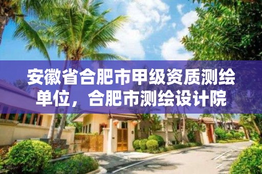 安徽省合肥市甲級資質(zhì)測繪單位，合肥市測繪設計院