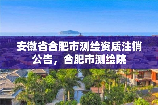 安徽省合肥市測繪資質注銷公告，合肥市測繪院