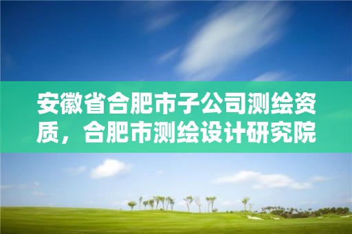 安徽省合肥市子公司測繪資質，合肥市測繪設計研究院屬于企業嗎?