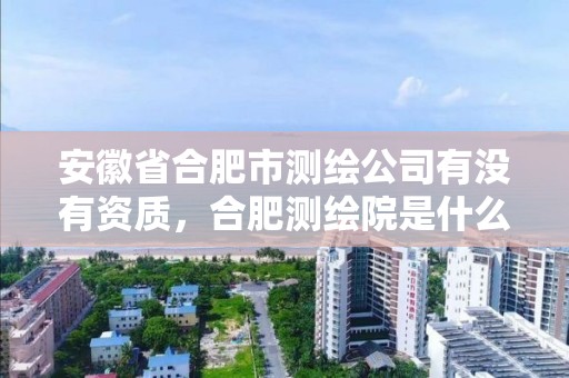 安徽省合肥市測繪公司有沒有資質，合肥測繪院是什么單位