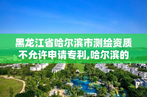 黑龍江省哈爾濱市測繪資質不允許申請專利,哈爾濱的測繪公司有哪些。