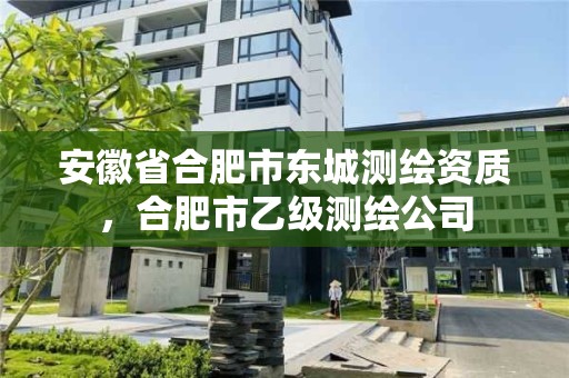 安徽省合肥市東城測(cè)繪資質(zhì)，合肥市乙級(jí)測(cè)繪公司