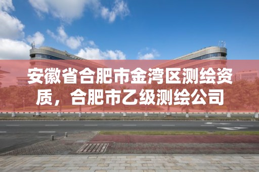 安徽省合肥市金灣區(qū)測繪資質(zhì)，合肥市乙級測繪公司