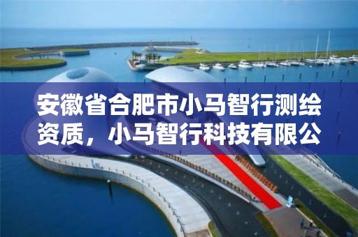 安徽省合肥市小馬智行測繪資質，小馬智行科技有限公司面試