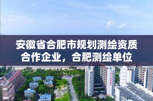 安徽省合肥市規劃測繪資質合作企業，合肥測繪單位