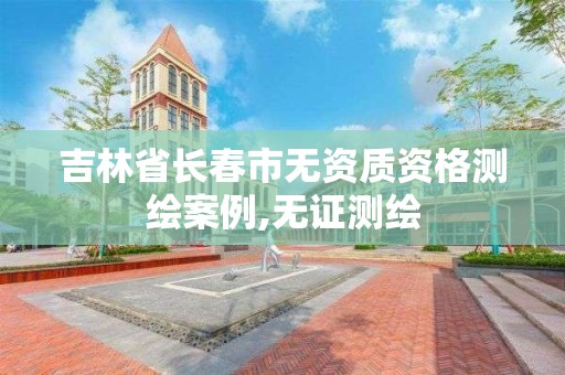 吉林省長春市無資質資格測繪案例,無證測繪