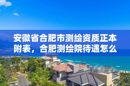 安徽省合肥市測繪資質正本附表，合肥測繪院待遇怎么樣