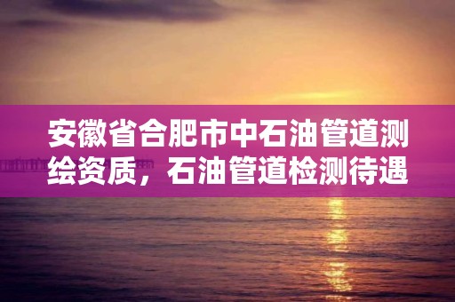 安徽省合肥市中石油管道測繪資質，石油管道檢測待遇