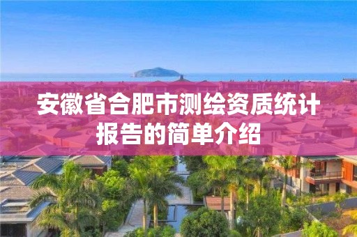 安徽省合肥市測(cè)繪資質(zhì)統(tǒng)計(jì)報(bào)告的簡(jiǎn)單介紹