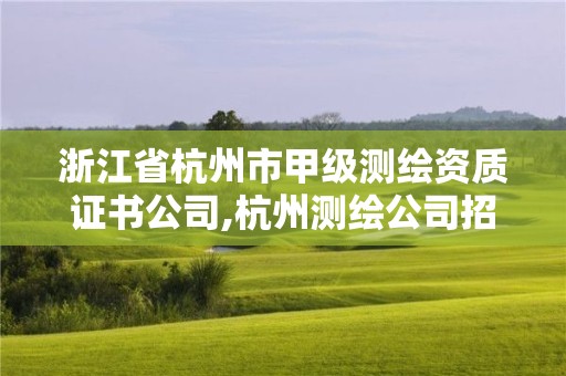 浙江省杭州市甲級測繪資質(zhì)證書公司,杭州測繪公司招聘信息。