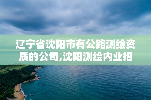 遼寧省沈陽市有公路測繪資質的公司,沈陽測繪內業招聘。