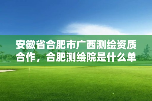 安徽省合肥市廣西測繪資質合作，合肥測繪院是什么單位