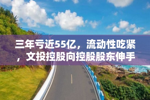 三年虧近55億，流動性吃緊，文投控股向控股股東伸手“要錢”