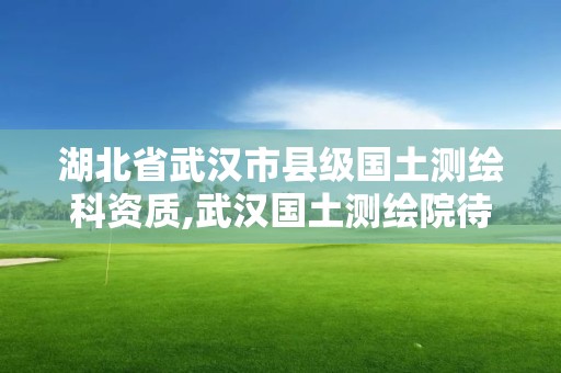 湖北省武漢市縣級國土測繪科資質,武漢國土測繪院待遇