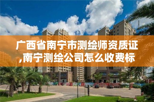 廣西省南寧市測繪師資質證,南寧測繪公司怎么收費標準