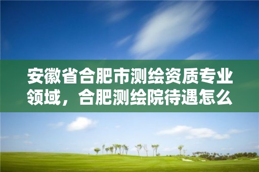 安徽省合肥市測繪資質專業領域，合肥測繪院待遇怎么樣