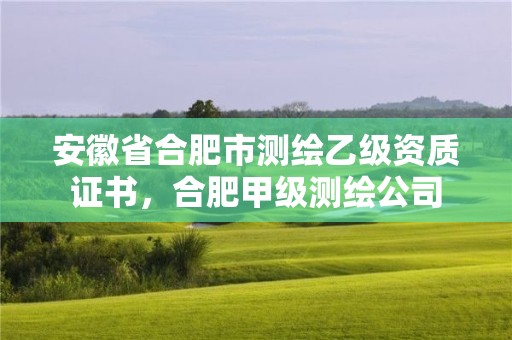 安徽省合肥市測繪乙級資質(zhì)證書，合肥甲級測繪公司