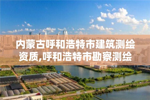 內蒙古呼和浩特市建筑測繪資質,呼和浩特市勘察測繪研究院