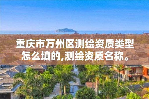 重慶市萬州區測繪資質類型怎么填的,測繪資質名稱。