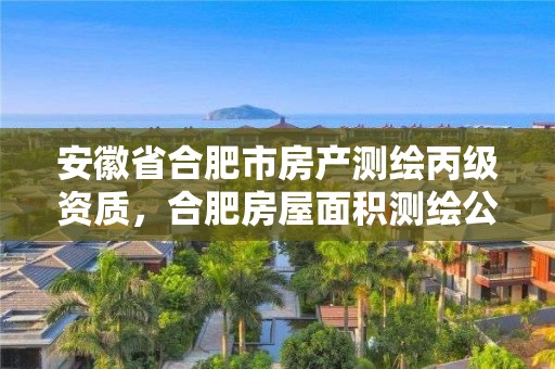 安徽省合肥市房產(chǎn)測(cè)繪丙級(jí)資質(zhì)，合肥房屋面積測(cè)繪公司