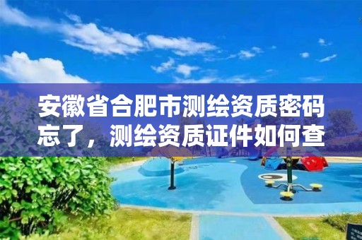 安徽省合肥市測繪資質密碼忘了，測繪資質證件如何查詢