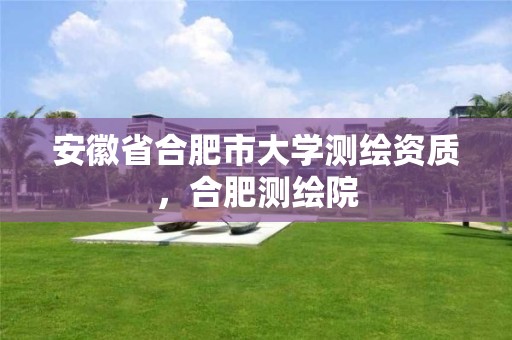 安徽省合肥市大學(xué)測繪資質(zhì)，合肥測繪院