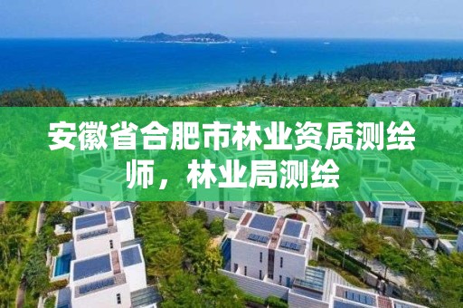 安徽省合肥市林業資質測繪師，林業局測繪