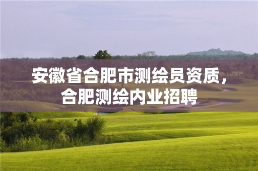 安徽省合肥市測繪員資質，合肥測繪內業招聘