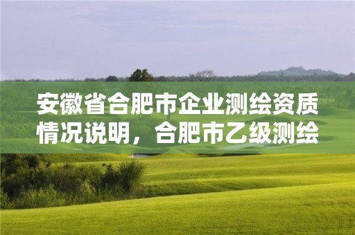 安徽省合肥市企業測繪資質情況說明，合肥市乙級測繪公司