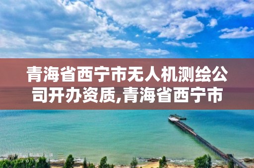 青海省西寧市無人機測繪公司開辦資質,青海省西寧市無人機測繪公司開辦資質查詢