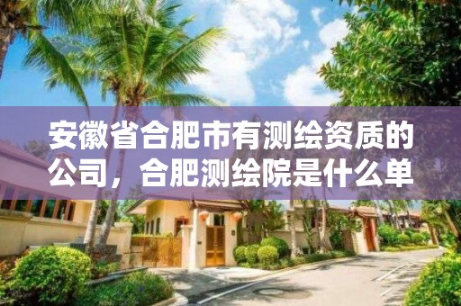 安徽省合肥市有測繪資質(zhì)的公司，合肥測繪院是什么單位