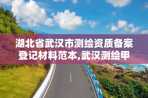 湖北省武漢市測繪資質備案登記材料范本,武漢測繪甲級資質公司