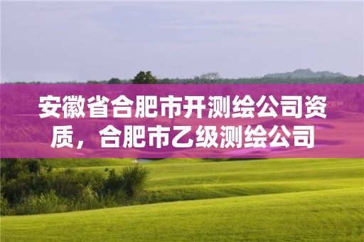 安徽省合肥市開測繪公司資質(zhì)，合肥市乙級測繪公司