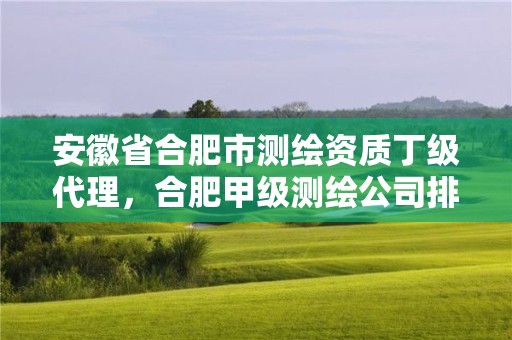 安徽省合肥市測(cè)繪資質(zhì)丁級(jí)代理，合肥甲級(jí)測(cè)繪公司排行