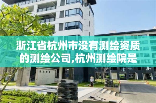 浙江省杭州市沒有測繪資質的測繪公司,杭州測繪院是什么單位