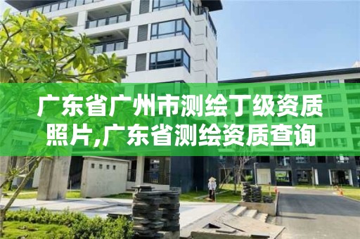 廣東省廣州市測繪丁級資質照片,廣東省測繪資質查詢