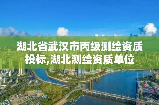 湖北省武漢市丙級(jí)測(cè)繪資質(zhì)投標(biāo),湖北測(cè)繪資質(zhì)單位