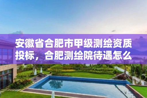 安徽省合肥市甲級(jí)測繪資質(zhì)投標(biāo)，合肥測繪院待遇怎么樣