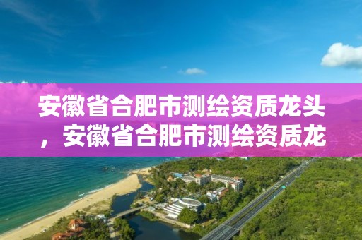 安徽省合肥市測繪資質龍頭，安徽省合肥市測繪資質龍頭企業公示