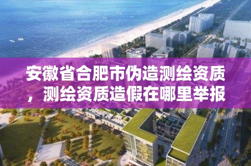 安徽省合肥市偽造測繪資質，測繪資質造假在哪里舉報