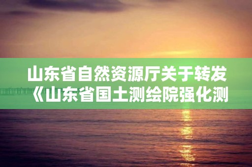 山東省自然資源廳關于轉發《山東省國土測繪院強化測繪地理信息技術保障服務全省經濟社會高質量發展項目清單》的通知