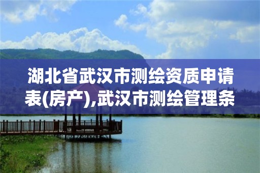 湖北省武漢市測繪資質申請表(房產),武漢市測繪管理條例。