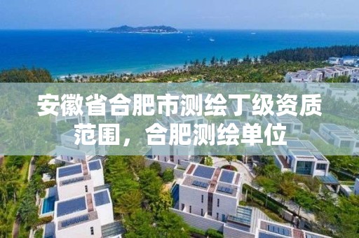 安徽省合肥市測繪丁級資質范圍，合肥測繪單位