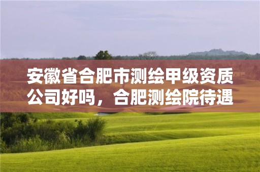 安徽省合肥市測繪甲級資質公司好嗎，合肥測繪院待遇怎么樣