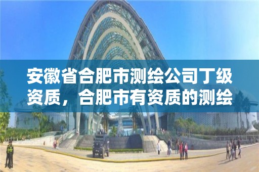 安徽省合肥市測繪公司丁級資質，合肥市有資質的測繪公司