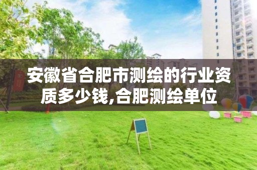 安徽省合肥市測繪的行業資質多少錢,合肥測繪單位