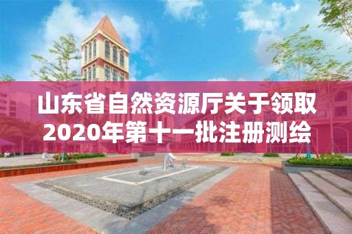 山東省自然資源廳關(guān)于領(lǐng)取2020年第十一批注冊(cè)測(cè)繪師證章的公告