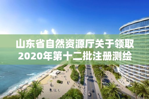 山東省自然資源廳關(guān)于領(lǐng)取2020年第十二批注冊(cè)測(cè)繪師證章的公告